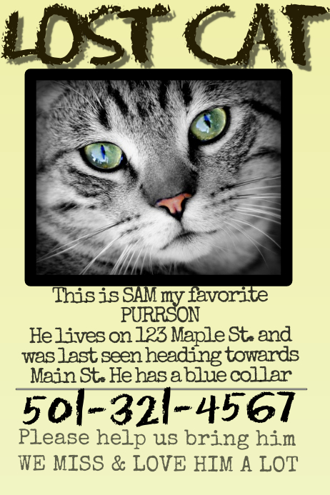Poster Tabby Cat Lost Cats Facebook Lost Cat Template PosterMyWall