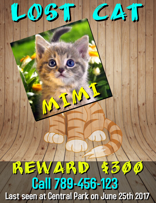 Modele De Chat Perdu Postermywall Modele De Chat Perdu Postermywall