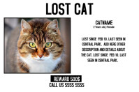 900 Lost Animal Customizable Design Templates Postermywall