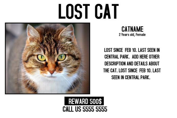Lost Cat Lost Pet Landscape Poster Template PosterMyWall Lost Cat Lost Pet Landscape Poster Template PosterMyWall