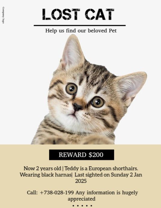 Lost cat report flyer template Volantino (US Letter)