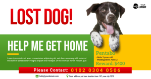 Lost Dog Ad Изображение, которым поделились на Facebook template