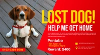 Lost Dog Ad Template Publicación de Twitter