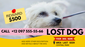 lost dog advirtisement, abandoned dog. Gambar Mini YouTube template
