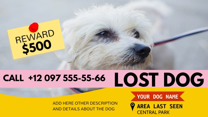 lost dog advirtisement, abandoned dog. Miniatura na YouTube template