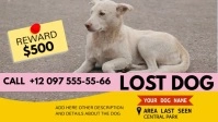 lost dog advirtisement instagram video Miniatura na YouTube template