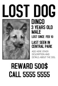 900 Lost Animal Customizable Design Templates Postermywall