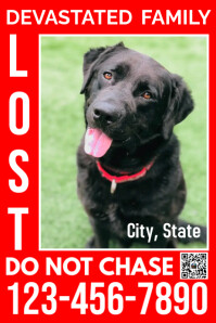 Lost Dog Poster Template