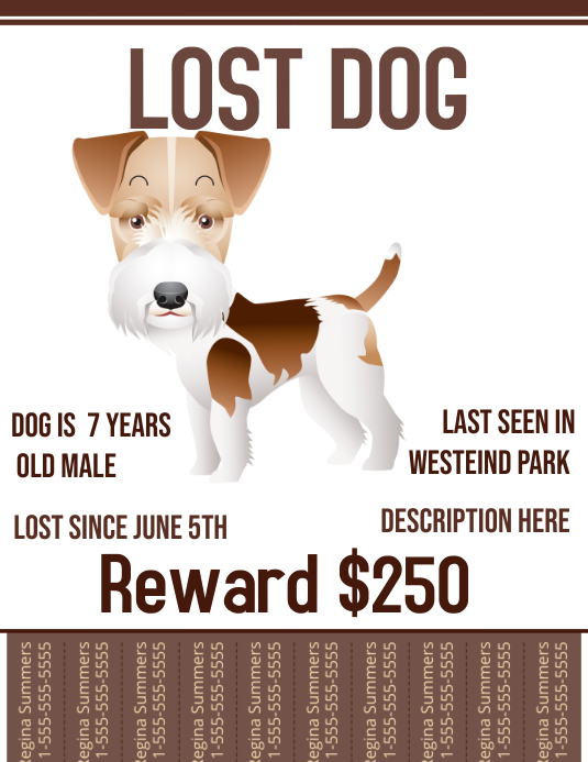 Copy of Lost Dog PosterMyWall