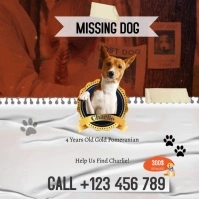 lost dog Instagram-bericht template