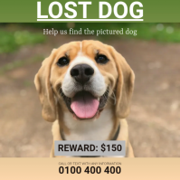 lost dog flyer Instagram Post template