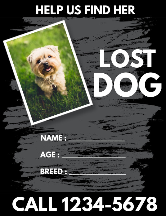 Lost dog flyer Template PosterMyWall