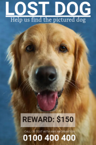 lost dog flyer Poster template