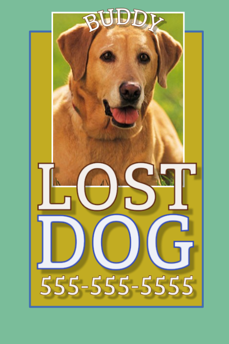 Lost Dog Template PosterMyWall Lost dog template postermywall