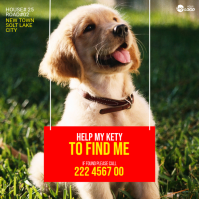 Green Lost Dog Wpis na Instagrama Template