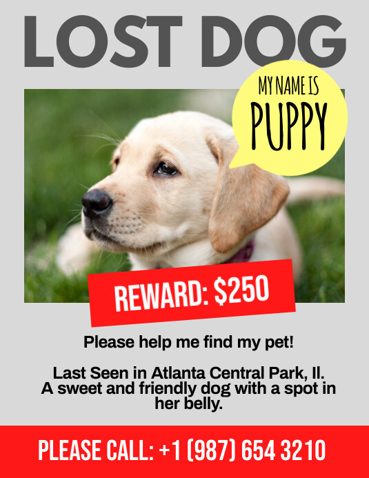 Lost Pet Example Lost dog missing pet flyer poster template | PosterMyWall