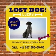 Lost Dog Missing Pet Square Video Quadrado (1:1) template
