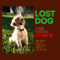 Red Lost Dog Poster Wpis na Instagrama Template