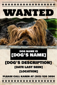 Lost Dog Flyer Poster template