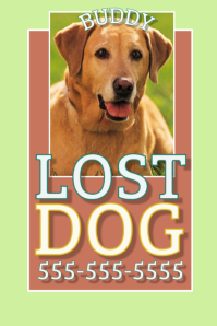 customizable design templates for lost animal postermywall ghostbusters lost dog flyer