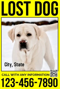 Lost Dog Poster Template Plakat