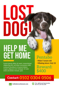 Lost Dog Poster Template