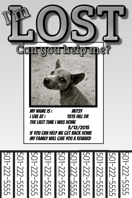 Lost Missing Template Postermywall