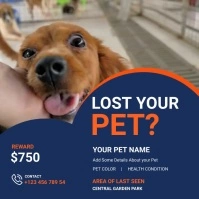 Lost Pet, Missing Dog Square Video Template Kvadrat (1:1)