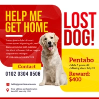 Lost Pet Ad Instagram Post template
