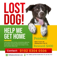 Lost Pet Ad Publicación de Instagram template