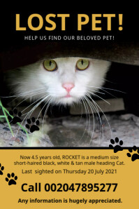 Lost Pet Cat Help Find Poster Template