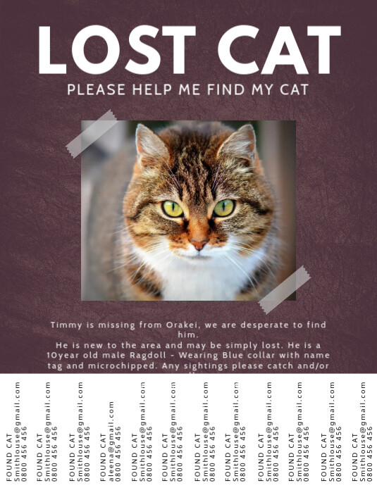 Copia di Lost Pet Cat Please Find Flyer Template PosterMyWall