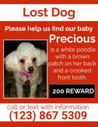 lost pet Flyer (US Letter) template