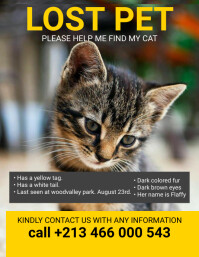 Lost pet Flyer (US Letter) template