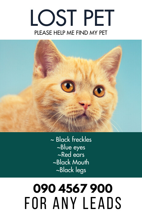 LOST PET FLYER Template PosterMyWall