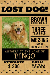 Make Missing Pet Flyers In Minutes Postermywall
