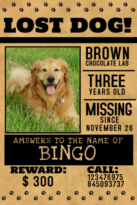 Lost Pet Flyer Template Postermywall