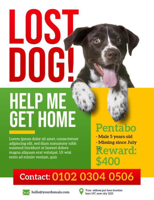 Lost Pet Flyer Template Løbeseddel (US Letter)