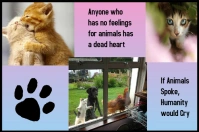 Love animals Poster template