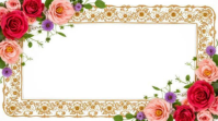 Luxurious gold metallic decorative poster | certificate template with flower border Miniature YouTube