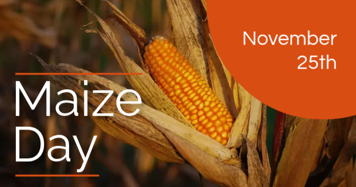 Maize Day Celebration Template | PosterMyWall