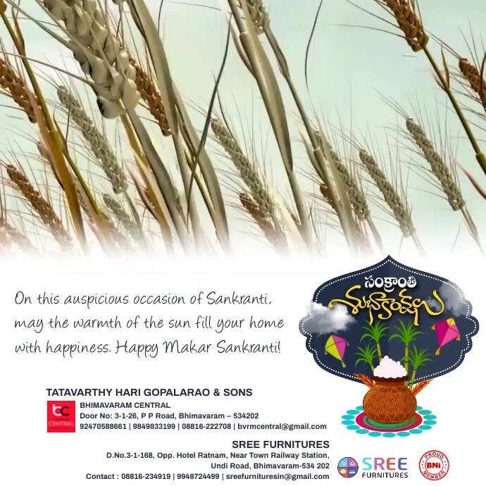 Makar sankranti wishes, Telugu, pongal wishes Wpis na Instagrama template