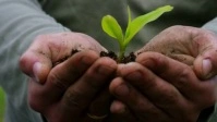 Man tree plantation video Уменьшенное изображение YouTube template