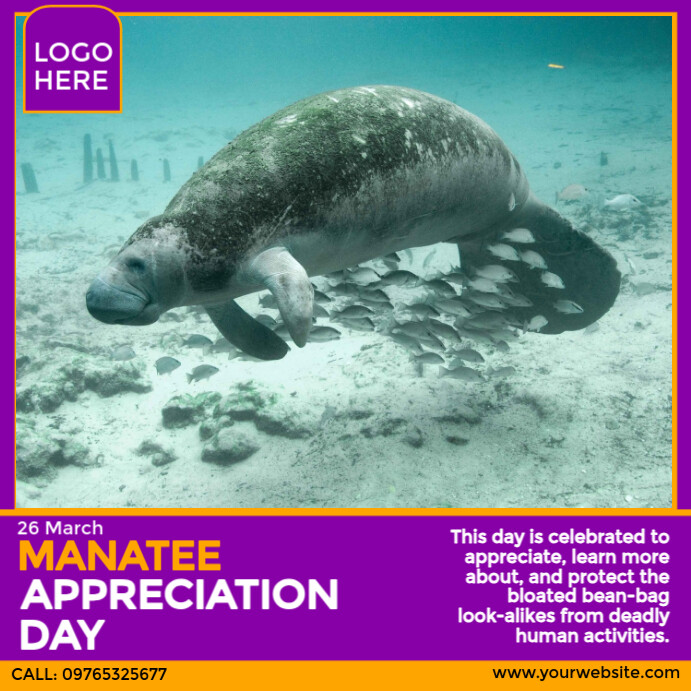 Manatee Appreciation Day Instagram Post template