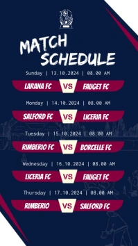 Match Schedule Instagram Story template