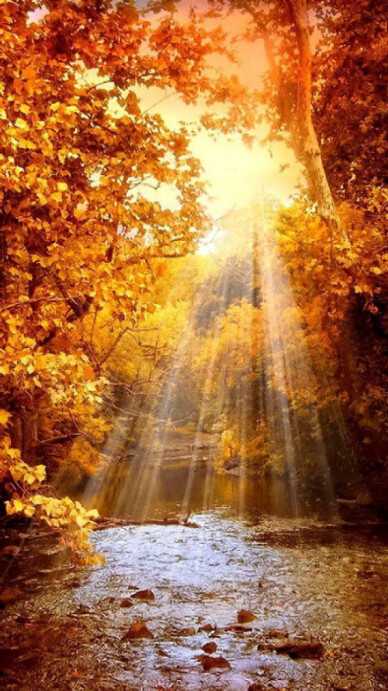 Maximalist Autumn  Digital Display (9:16) template