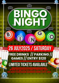 Maximalist Bingo Night Flyer A1 template