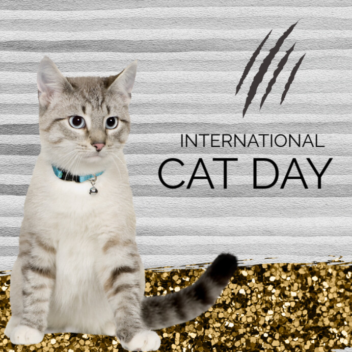 Maximalist Cat Day  Instagram Post Iphosti le-Instagram template