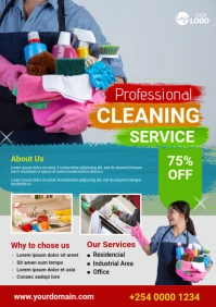 Maximalist Cleaning Services  A2 template