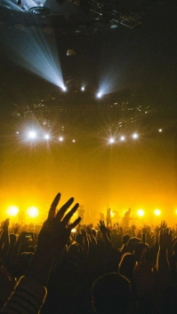 Maximalist Concert  Digital Display (9:16) template